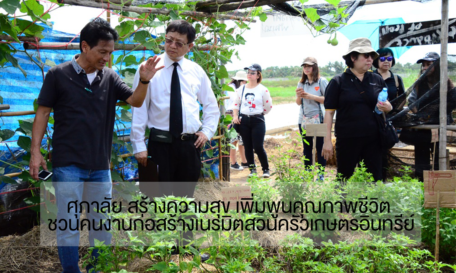 ศุภาลัย สร้างความสุข เพิ่มพูนคุณภาพชีวิต ชวนคนงานก่อสร้างเนรมิตสวนครัวเกษตรอินทรีย์