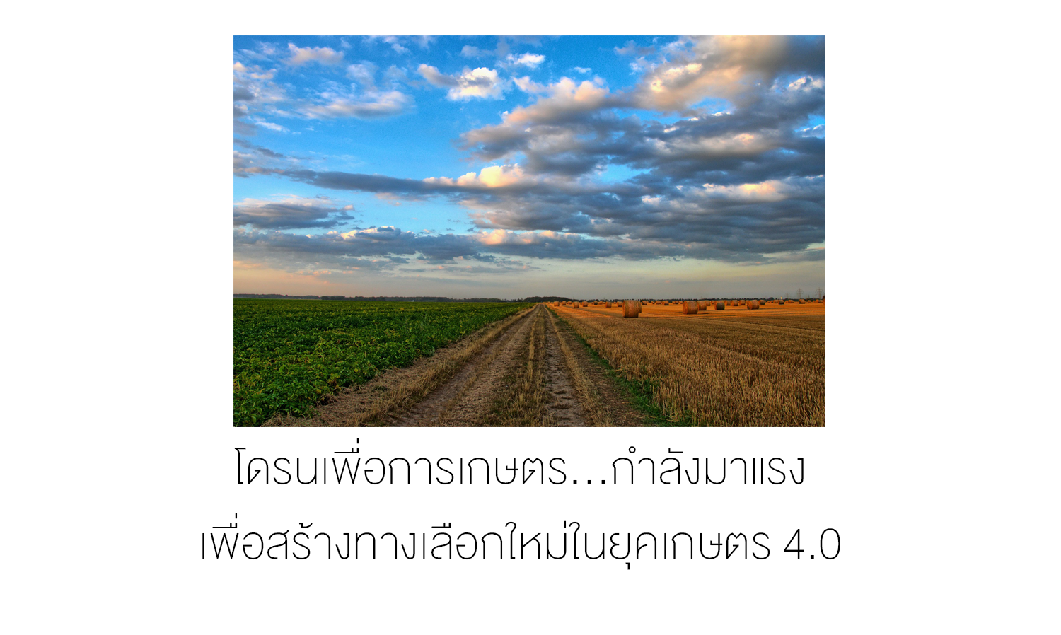 โดรนเพื่อการเกษตร...กำลังมาแรงเพื่อสร้างทางเลือกใหม่ในยุคเกษตร 4.0