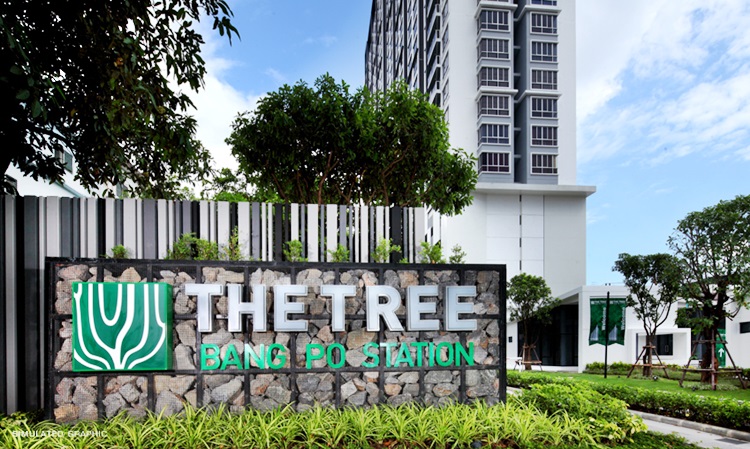 The Tree Bang Pho Station