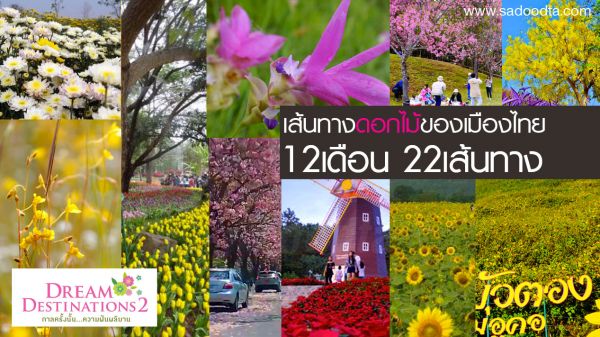 เส้นทางดอกไม้ของเมืองไทย 12 เดือน 22เส้นทาง ใน Dream Destinations 2  