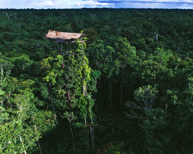 EXTREME TREE HOUSE (IRIAN JANA, INDONESIA)