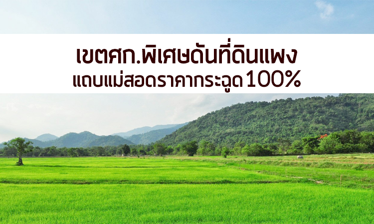 เขตศก.พิเศษดันที่ดินแพง แถบแม่สอดราคากระฉูด100%