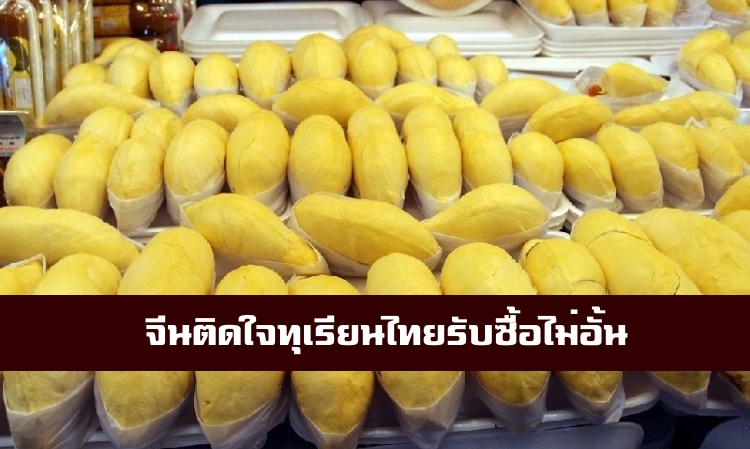 จีนติดใจทุเรียนไทย-รับซื้อไม่อั้น ราคาหน้าสวนพุ่งสูง ส่วนมังคุด-เงาะ ผลผลิตลด