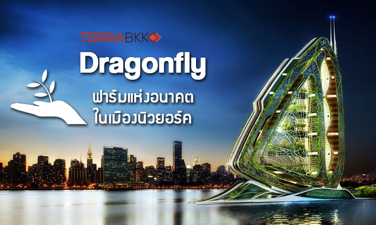 Dragonfly ฟาร์มแห่งอนาคตในเมืองนิวยอร์ค