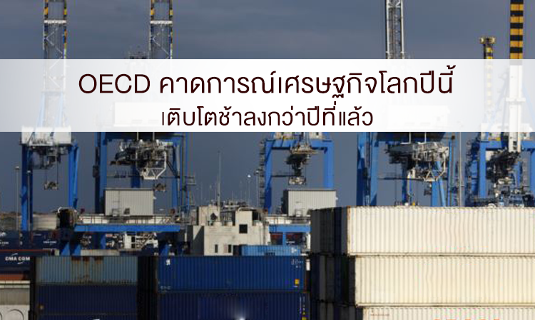 OECD คาดการณ์เศรษฐกิจโลกปีนี้เติบโตช้าลงกว่าปีที่แล้ว