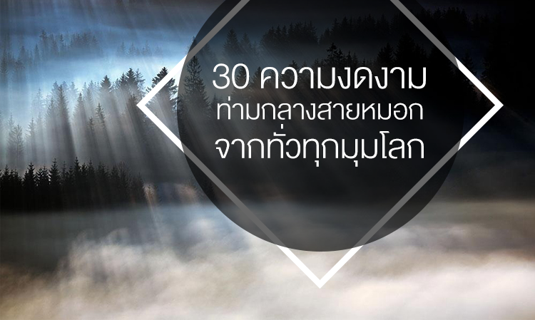 30 ความงดงามท่ามกลางสายหมอก จากทั่วทุกมุมโลก