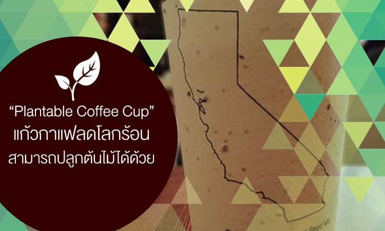 “Plantable Coffee Cup” แก้วกาแฟลดโลกร้อน สามารถปลูกต้นไม้ได้ด้วย