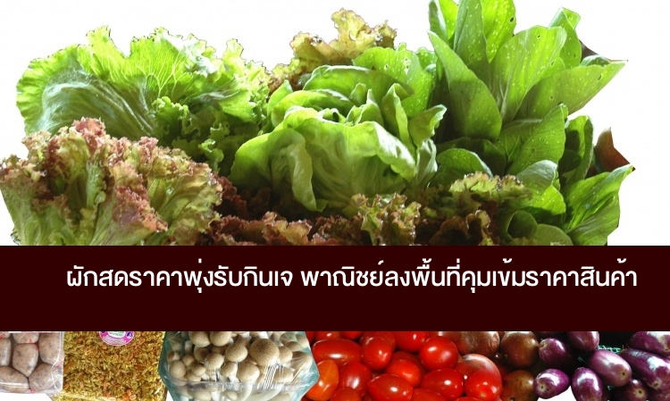 ผักสดราคาพุ่งรับกินเจ พาณิชย์ลงพื้นที่คุมเข้มราคาสินค้า 