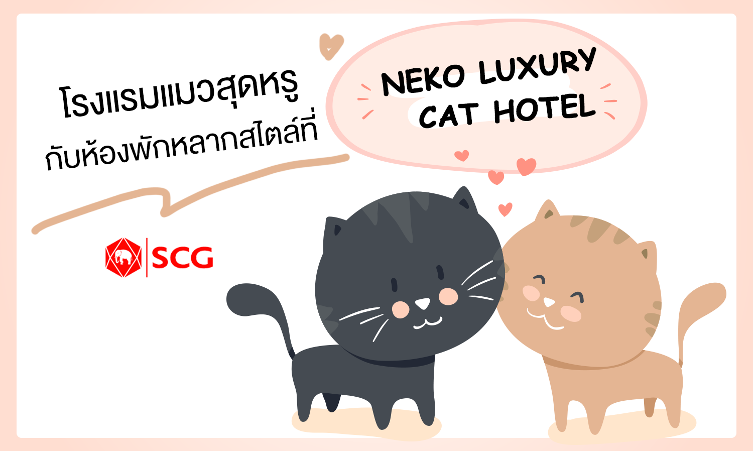 โรงแรมแมวสุดหรูกับห้องพักหลากสไตล์ ที่ NEKO LUXURY CAT HOTEL