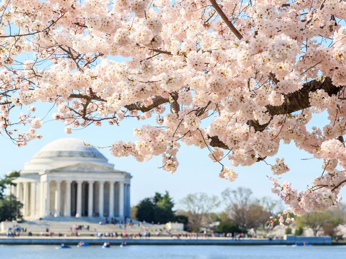 no-6-washington-dc-the-median-rent-for-a-one-bedroom-here-is-2200-a-month