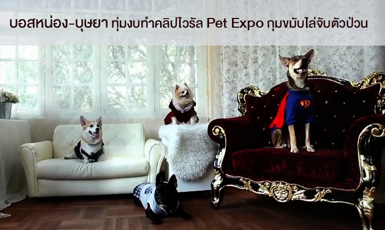 บอสหน่อง-บุษยา ทุ่มงบทำคลิปไวรัล Pet Expo กุมขมับไล่จับตัวป่วน 