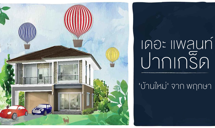  เดอะ แพลนท์ ปากเกร็ด 