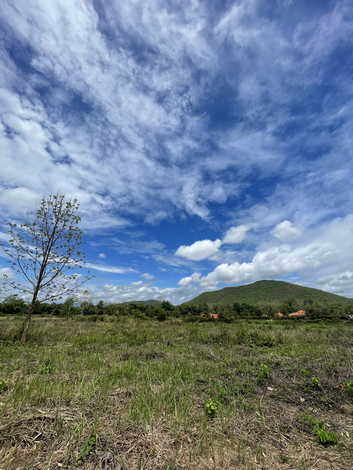 ขายที่ดินวิวสวยมาก  ทำเลทอง เอกสารสิทธิ์โฉนดครุฑแดง (น.ส4) อ.ดอยสะเก็ด จ.เชียงใหม่ (เจ้าของขายเอง)