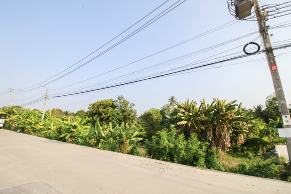 Land For Sale, Phutthamonthon Sai 1