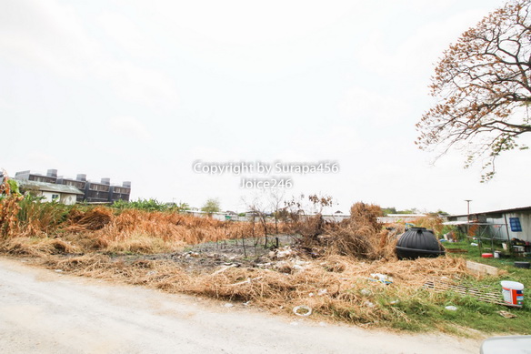 ขายที่ดิน พัฒนาการ อ่อนนุช ประเวศ พระโขนง ใกล้ถนนใหญ่ 180 ตร.ว