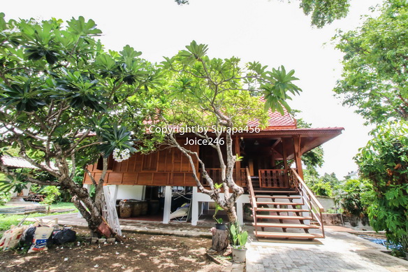 Land and House for Rent, Phrannok Charansanitwong