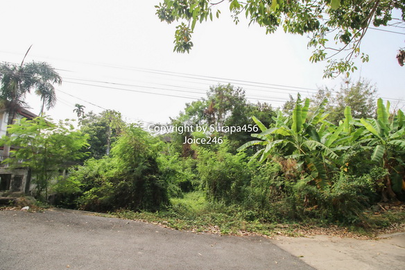 ขายที่ดิน หมู่บ้านเรืองอนันต์ 203 ตร.ว เพชรเกษม บางแค ด้านข้างเป็นคลอง ใกล้สถานีรถไฟฟ้า MRT