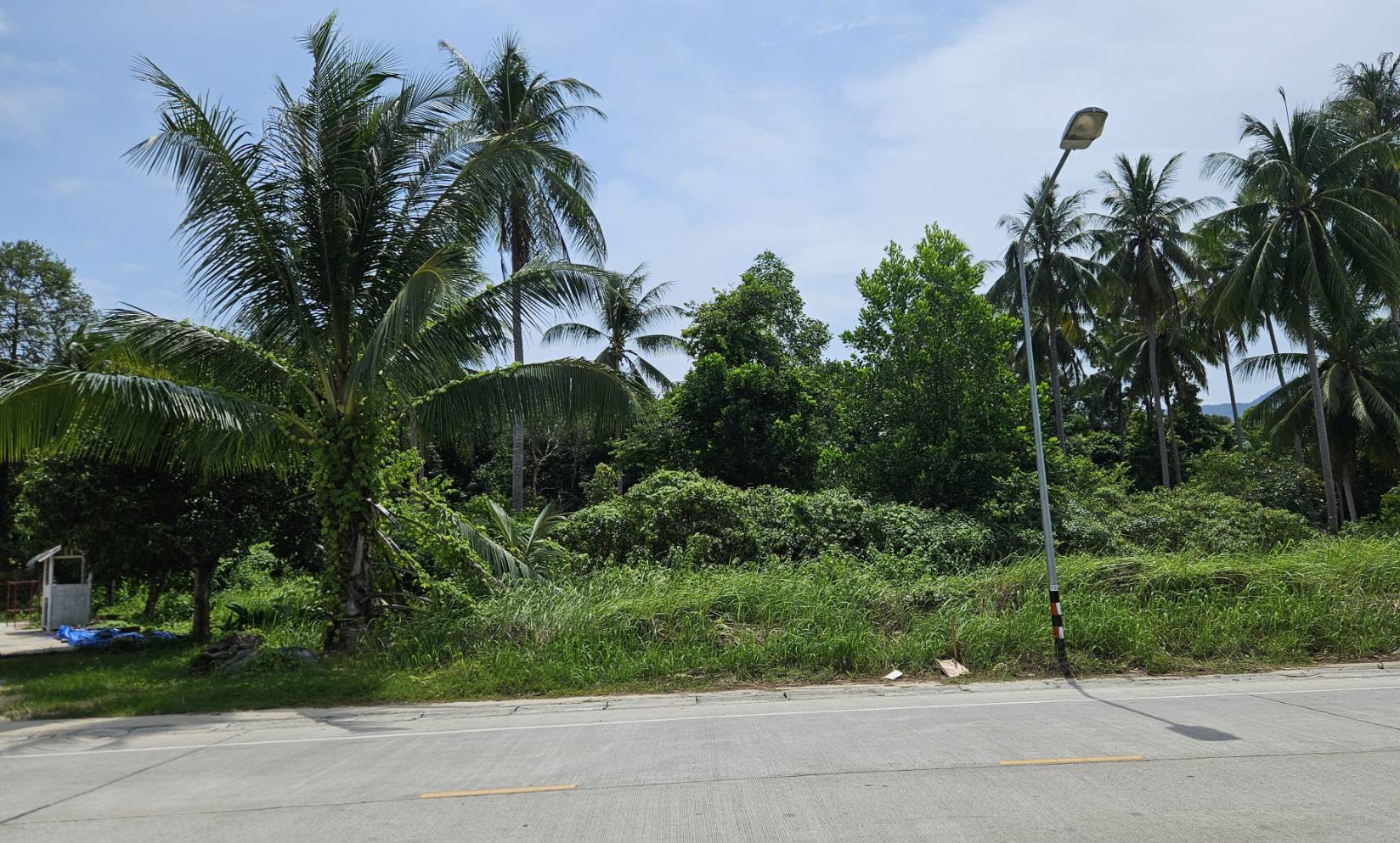 ขายที่ดินเปล่า เกาะพะงัน ติดถนนหลัก อยู่ในแหล่งชุมชน ทำเลดี