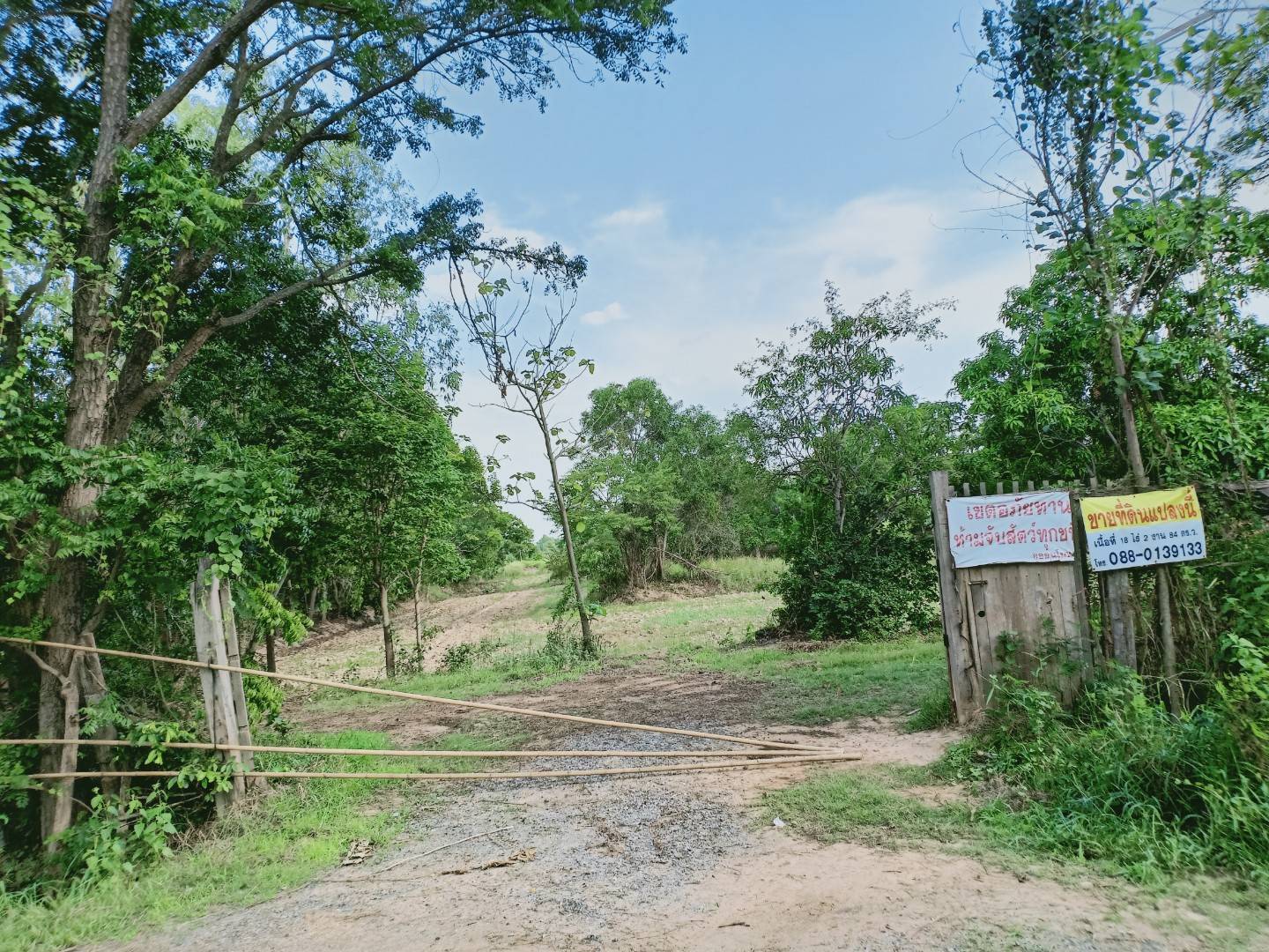 ขายที่ดินตัวเมืองชัยภูมิ ที่สวย บรรยากาศดี อำเภอเมือง จังหวัดชัยภูมิ