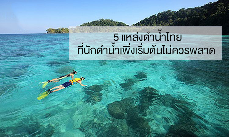 5 แหล่งดำน้ำไทย ที่นักดำน้ำเพิ่งเริ่มต้นไม่ควรพลาด