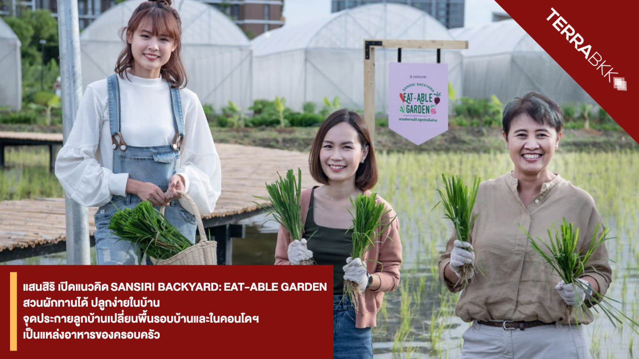 แสนสิริเปิดแนวคิด SANSIRI BACKYARD: EAT-ABLE GARDEN สวนผักทานได้ ปลูกง่ายในบ้าน  จุดประกายลูกบ้านเปลี่ยนพื้นรอบบ้านและในคอนโดฯ เป็นแหล่งอาหารของครอบครัว