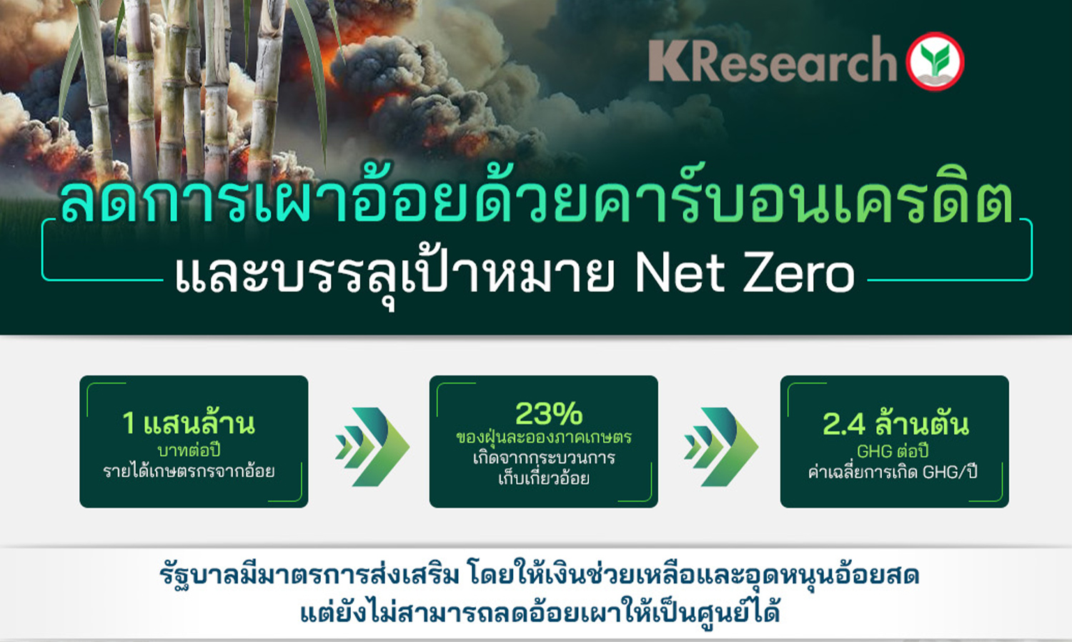 ลดการเผาอ้อยด้วยคาร์บอนเครดิต  และบรรลุเป้าหมาย Net Zero