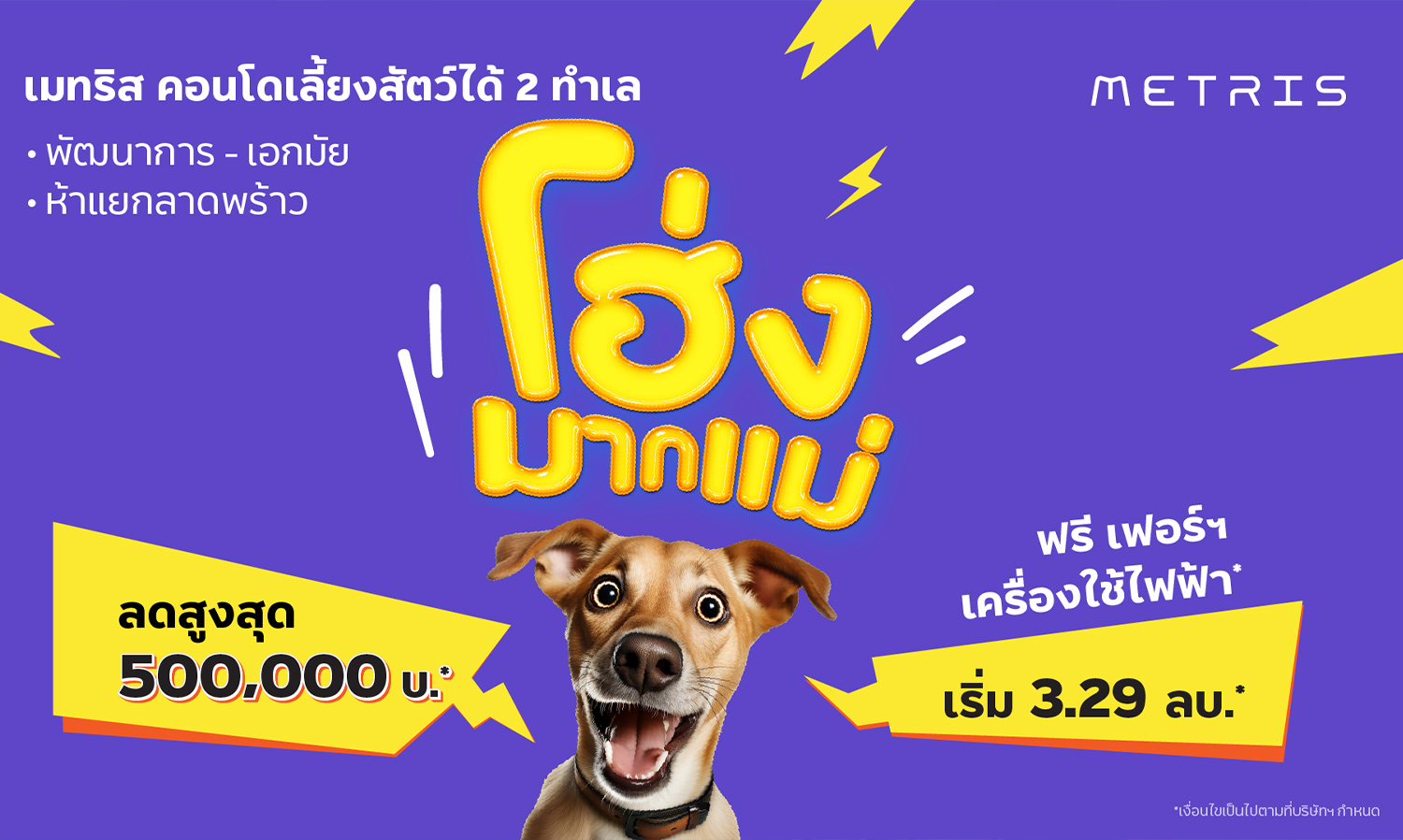 เมเจอร์ ดีเวลลอปเม้นท์ บัญญัติเดือนแห่งสัตว์เลี้ยง INTERNATIONAL PET MONTH ส่งความโฮ่งแบบ คิด ครบ คุ้ม  กับ MAJOR PET FAMILY SERVICES  ย้ำผู้นำอสังหาฯ แบรนด์แรก ที่ตอบโจทย์คอนโดมิเนียมเลี้ยงสัตว์ได้ 100% 